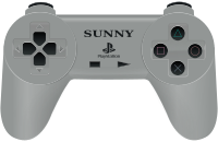 Video Game Controller