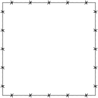 Barbed Wire Frame Border