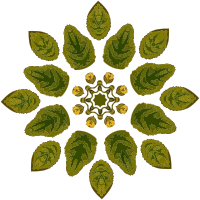 Plant design 71