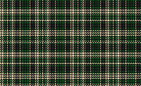 Woven Plaid Cloth Green