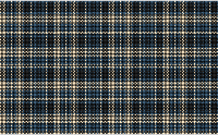 Woven Plaid Cloth Blue