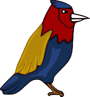 Colourful jay
