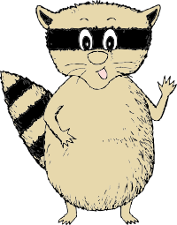 raccoon