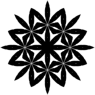 Dark Star 8