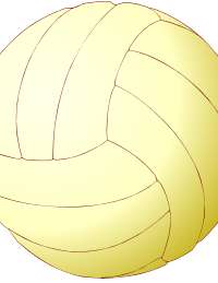 Volleyball