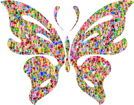 Iridescent Chromatic Butterfly