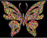 Iridescent Chromatic Butterfly 2
