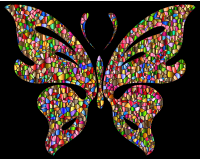 Iridescent Chromatic Butterfly 3