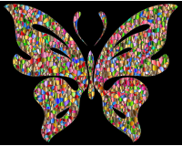 Iridescent Chromatic Butterfly 4