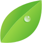 Dew Drop