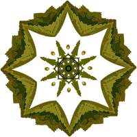 Plant design 76
