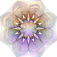 Prismatic Floral Line Art 2 No Background