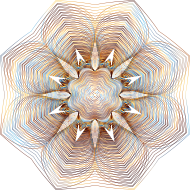 Prismatic Floral Line Art 3 No Background