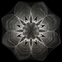 Prismatic Floral Line Art 6