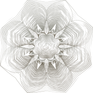 Prismatic Floral Line Art 6 No Background