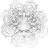 Prismatic Floral Line Art 7 No Background