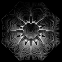 Prismatic Floral Line Art 9