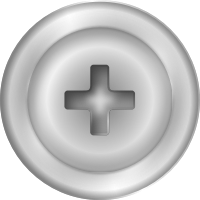 Screw head