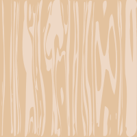 Birch wood texture