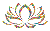 Prismatic Lotus Flower 3