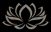 Prismatic Lotus Flower 9