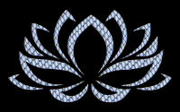 Prismatic Lotus Flower 11