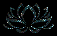 Prismatic Lotus Flower 13