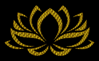 Prismatic Lotus Flower 14