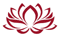 Vermillion Lotus Flower No Background