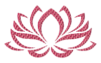 Ruby Lotus Flower No Background