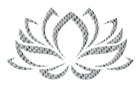 Chrome Lotus Flower No Background