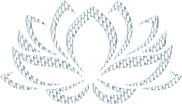 Silver Lotus Flower No Background