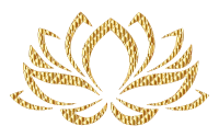 Golden Lotus Flower No Background