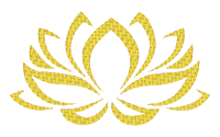 Golden Lotus Flower 3 No Background