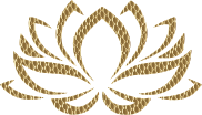 Golden Lotus Flower 4 No Background