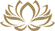 Golden Lotus Flower 4 Variation 2 No Background