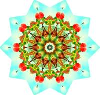 Trochilidae 8