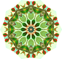 Trochilidae 9