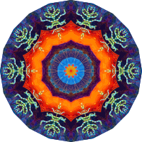 Actiniae 1