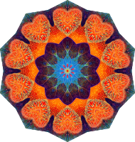 Actiniae 2