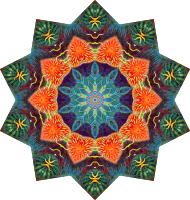 Actiniae 3