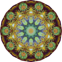Actiniae 4
