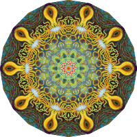 Actiniae 5