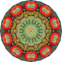 Actiniae 6