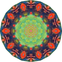 Actiniae 7
