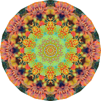 Actiniae 8