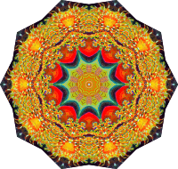 Actiniae 10