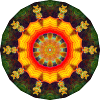 Actiniae 11