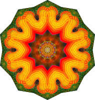 Actiniae 12