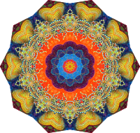Actiniae 20